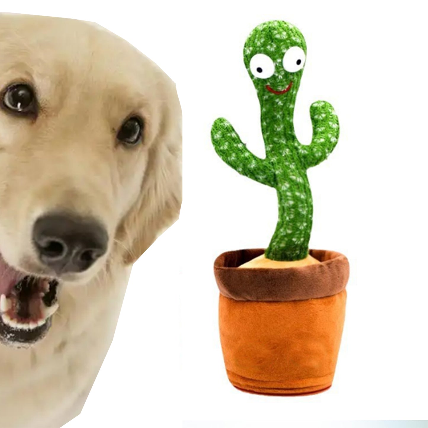 Dancing Talking Cactus Toy for Babies & Toddlers - 120 English Songs, Singing Mimicking Recording Repeating, Educational Sensory Music Toy | Kids Birthday/Children’s Day Gift for Boys & Girls